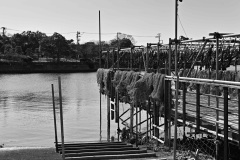 SDIM0158s