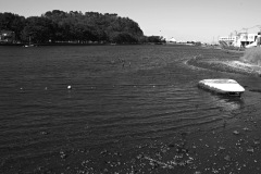 SDIM0177s