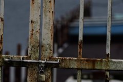 中