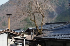 ４