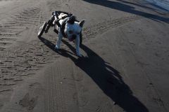 ファイト！縮小）