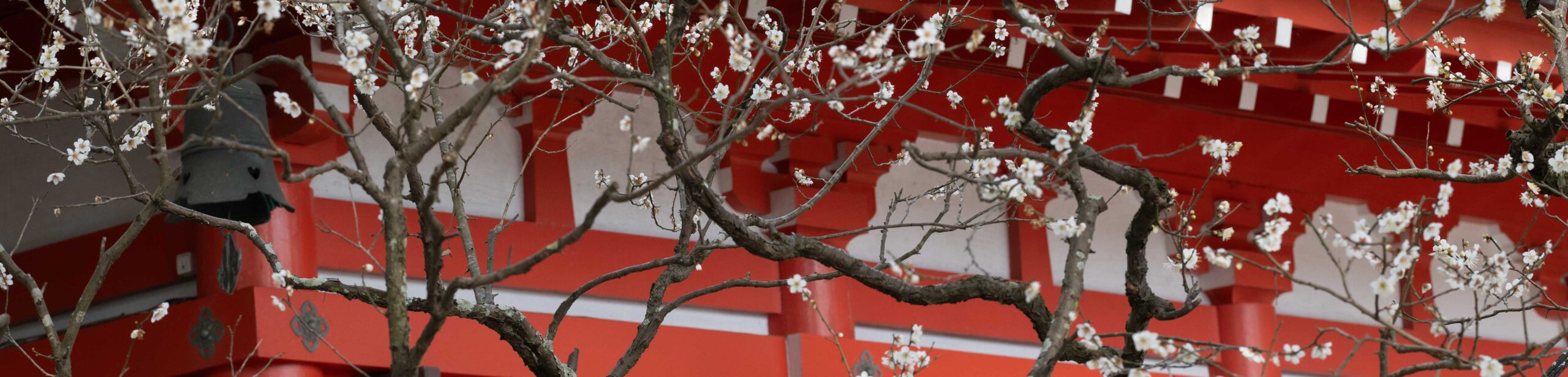 光画塾 (hikarie2022)